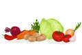 Fresh healthy vegetables banner. Vegetables ingredients for cooking borsch. Ukrainian red soup. Potatoes, beetroot