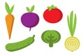 Fresh healthy vegetables in flat style organic icons set Royalty Free Stock Photo