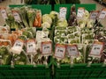 Fresh healthy vegetables on supermarket