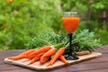 Fresh heap of carrot vegetables and juice crop harvest Royalty Free Stock Photo