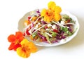 Fresh and heathy salad with nasturtiums Royalty Free Stock Photo