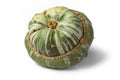 Fresh heirloom green Turban squash Royalty Free Stock Photo