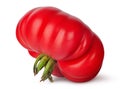 Fresh heirloom tomato inverted Royalty Free Stock Photo