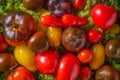 Fresh heirloom tomatoes colorfull background, organic produce Royalty Free Stock Photo