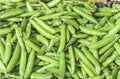 Fresh helathy green vegetable bean on market ready for selling