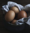 Fresh hen eggs on black background Royalty Free Stock Photo