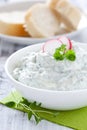 Fresh herb cheese Royalty Free Stock Photo