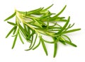 Fresh herb, fresh rosemary isolated on white Royalty Free Stock Photo