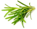 Fresh herb, fresh rosemary isolated on white