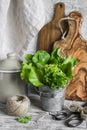 Fresh herb salad in vintage metal bucket, olive cutting Board, old vintage scissors, twine, enamel container Royalty Free Stock Photo