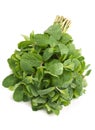Fresh herb spearmint Royalty Free Stock Photo