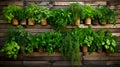 Fresh herb variety on rustic wood backdrop, captured with canon eos rp at f4 aperture