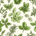 Fresh Herbal Illustration - Basil, Rosemary, and Oregano Pattern Design Royalty Free Stock Photo