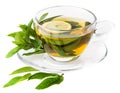 Fresh herbal mint tea