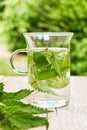 Fresh herbal nettle tea with fresh leaves