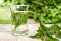 Fresh herbal nettle tea with fresh leaves