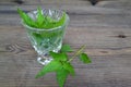 Fresh herbal nettle tea and fresh nettle leaves. A cup of nettle tea with fresh nettles on the table