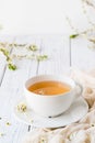 Fresh herbal tea with blooming brunch