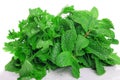 Fresh Herbs Royalty Free Stock Photo