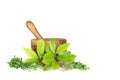 Fresh Herbs Royalty Free Stock Photo