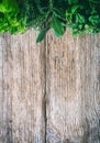 Fresh herbs border at the top of on an old wood background Royalty Free Stock Photo