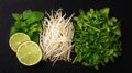 A Fresh Herbs and Bean Sprouts Royalty Free Stock Photo