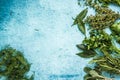 Fresh herbs border background, from above Royalty Free Stock Photo