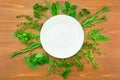 Fresh Herbs Collection Royalty Free Stock Photo