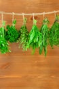 Fresh Herbs Collection is Hanging and Wooden texture Royalty Free Stock Photo