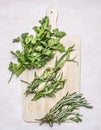 Fresh herbs on a cutting board on wooden rustic background top view close up Royalty Free Stock Photo