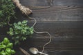 Fresh herbs on the dark wooden table, top view. Rustic background with copy space Royalty Free Stock Photo