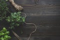 Fresh herbs on the dark wooden table, top view. Rustic background with copy space Royalty Free Stock Photo