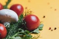 Fresh herbs dill, parsley,mushroom, tomato  at yellow paper background. top view. Copy space Royalty Free Stock Photo