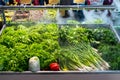 Sale of fresh green vegetables - lettuce salad, parsley, dill, green onions, herbs. Royalty Free Stock Photo