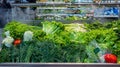 Sale of fresh green vegetables - lettuce salad, parsley, dill, green onions, herbs. Royalty Free Stock Photo