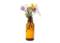 Fresh herbs and flowers in a medical bottle. Royalty Free Stock Photo