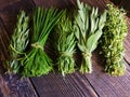 Fresh Herbs asil thyme rosemary chives flavour cook cooking ingredients basil basic chef larder cupboard fresh dried necessary