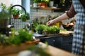 Fresh herbs growing in indoor planters on a sunny kitchen countertop. Royalty Free Stock Photo