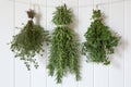 Fresh Herbs Hanging