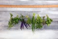 Fresh herbs hanging in front of a rustic background. Basil, flower sage, thyme, oregano, dill, chives, parsley and coriander Royalty Free Stock Photo