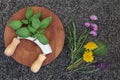 Fresh Herbs Royalty Free Stock Photo