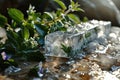 Fresh herbs in an ice cube