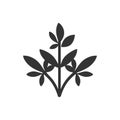 Fresh Herbs Icon