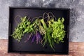 Fresh herbs lay on a rustic background. Basil, flower sage, thyme, oregano, dill, chives, parsley and coriander Royalty Free Stock Photo