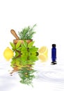 Fresh Herbs and Lemon Halves Royalty Free Stock Photo