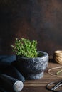 Fresh herbs in a marble mortar on a table. Royalty Free Stock Photo