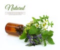 Fresh herbs in a medical bottle Royalty Free Stock Photo