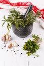 Fresh herbs in mortar over white wooden background Royalty Free Stock Photo