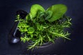 Fresh herbs in a mortar with pestle made of black granite on a d Royalty Free Stock Photo