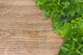 Fresh herbs on old wooden background Royalty Free Stock Photo